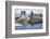 Walrus Herd, Hudson Bay, Nunavut, Canada-Paul Souders-Framed Photographic Print