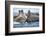 Walrus Herd, Hudson Bay, Nunavut, Canada-Paul Souders-Framed Photographic Print