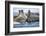 Walrus Herd, Hudson Bay, Nunavut, Canada-Paul Souders-Framed Photographic Print