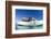 Walrus Herd on Ice, Hudson Bay, Nunavut, Canada-Paul Souders-Framed Photographic Print