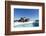 Walrus Herd on Ice, Hudson Bay, Nunavut, Canada-Paul Souders-Framed Photographic Print