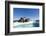 Walrus Herd on Ice, Hudson Bay, Nunavut, Canada-Paul Souders-Framed Photographic Print