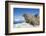 Walrus Herd on Iceberg, Hudson Bay, Nunavut, Canada-Paul Souders-Framed Photographic Print