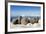 Walrus Herd on Iceberg, Hudson Bay, Nunavut, Canada-Paul Souders-Framed Photographic Print