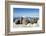 Walrus Herd on Iceberg, Hudson Bay, Nunavut, Canada-Paul Souders-Framed Photographic Print