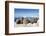 Walrus Herd on Iceberg, Hudson Bay, Nunavut, Canada-Paul Souders-Framed Photographic Print