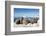 Walrus Herd on Iceberg, Hudson Bay, Nunavut, Canada-Paul Souders-Framed Photographic Print