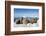 Walrus Herd on Iceberg, Hudson Bay, Nunavut, Canada-Paul Souders-Framed Photographic Print