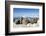 Walrus Herd on Iceberg, Hudson Bay, Nunavut, Canada-Paul Souders-Framed Photographic Print