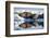 Walrus Herd on Sea Ice, Hudson Bay, Nunavut, Canada-Paul Souders-Framed Photographic Print