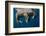 Walrus, Hudson Bay, Nunavut, Canada-Paul Souders-Framed Photographic Print