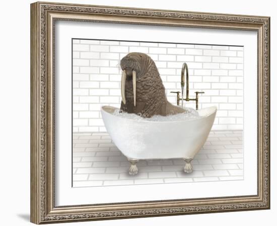 Walrus In Bathtub-Matthew Piotrowicz-Framed Art Print