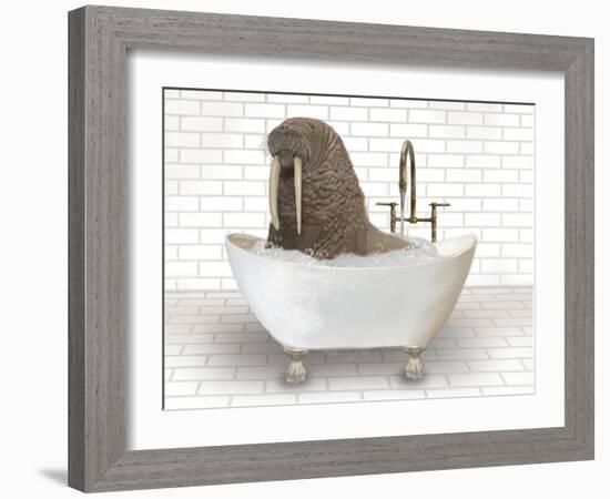 Walrus In Bathtub-Matthew Piotrowicz-Framed Art Print