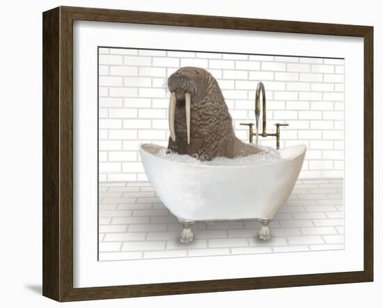 Walrus In Bathtub-Matthew Piotrowicz-Framed Art Print