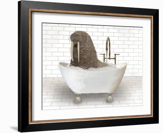 Walrus In Bathtub-Matthew Piotrowicz-Framed Art Print