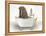 Walrus In Bathtub-Matthew Piotrowicz-Framed Stretched Canvas