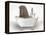 Walrus In Bathtub-Matthew Piotrowicz-Framed Stretched Canvas