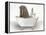 Walrus In Bathtub-Matthew Piotrowicz-Framed Stretched Canvas