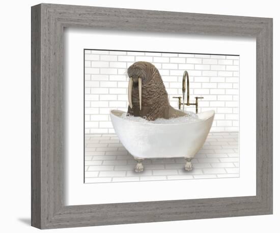 Walrus In Bathtub-Matthew Piotrowicz-Framed Premium Giclee Print