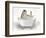 Walrus In Bathtub-Matthew Piotrowicz-Framed Premium Giclee Print