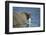 Walrus in Hudson Bay, Nunavut, Canada-Paul Souders-Framed Photographic Print