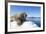 Walrus on Ice, Hudson Bay, Nunavut, Canada-Paul Souders-Framed Photographic Print