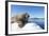 Walrus on Ice, Hudson Bay, Nunavut, Canada-Paul Souders-Framed Photographic Print