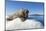 Walrus on Ice, Hudson Bay, Nunavut, Canada-Paul Souders-Mounted Photographic Print