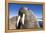 Walrus on Iceberg, Hudson Bay, Nunavut, Canada-Paul Souders-Framed Premier Image Canvas