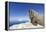 Walrus on Iceberg, Hudson Bay, Nunavut, Canada-Paul Souders-Framed Premier Image Canvas