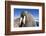 Walrus on Iceberg, Hudson Bay, Nunavut, Canada-Paul Souders-Framed Photographic Print