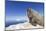 Walrus on Iceberg, Hudson Bay, Nunavut, Canada-Paul Souders-Mounted Photographic Print