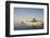 Walrus on Iceberg Near Kapp Lee in Midnight Sun-Paul Souders-Framed Photographic Print