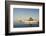 Walrus on Iceberg Near Kapp Lee in Midnight Sun-Paul Souders-Framed Photographic Print