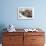 Walrus on Sea Ice, Hudson Bay, Nunavut, Canada-Paul Souders-Framed Photographic Print displayed on a wall