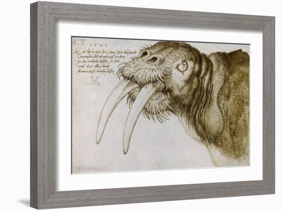 Walrus, Pen and Ink on Paper, 1521-Albrecht Dürer-Framed Giclee Print