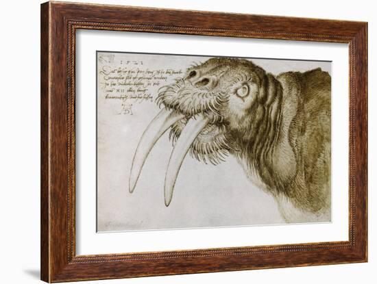 Walrus, Pen and Ink on Paper, 1521-Albrecht Dürer-Framed Giclee Print