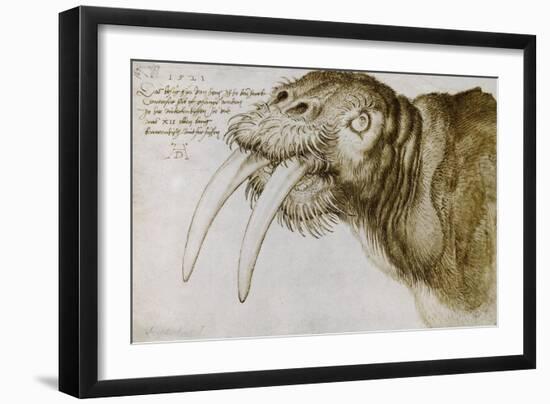 Walrus, Pen and Ink on Paper, 1521-Albrecht Dürer-Framed Giclee Print