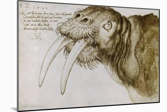 Walrus, Pen and Ink on Paper, 1521-Albrecht Dürer-Mounted Giclee Print