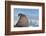 Walrus Resting on Ice in Hudson Bay, Nunavut, Canada-Paul Souders-Framed Photographic Print