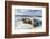 Walrus Resting on Ice in Hudson Bay, Nunavut, Canada-Paul Souders-Framed Photographic Print