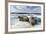 Walrus Resting on Ice in Hudson Bay, Nunavut, Canada-Paul Souders-Framed Photographic Print