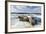 Walrus Resting on Ice in Hudson Bay, Nunavut, Canada-Paul Souders-Framed Photographic Print