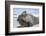 Walrus Resting on Ice in Hudson Bay, Nunavut, Canada-Paul Souders-Framed Photographic Print