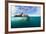 Walrus, Svalbard, Norway-Paul Souders-Framed Photographic Print