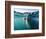 Walrus Swimming at Water Surface Near Tiholmane Island-Paul Souders-Framed Photographic Print