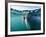 Walrus Swimming at Water Surface Near Tiholmane Island-Paul Souders-Framed Photographic Print