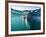 Walrus Swimming at Water Surface Near Tiholmane Island-Paul Souders-Framed Photographic Print