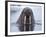 Walrus swimming-Paul Souders-Framed Photographic Print