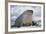 Walrus with a Broken Tusk-DLILLC-Framed Photographic Print